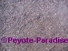 Peyote Cactus grond - Speciaal Peyote mengsel -  5 Liter